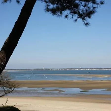 Appart Sur La Plage Pied Dans L Eau Avec Terrasse Jardin Vue Sur Le Bassin Depuis La Terrasse , Parking Arcachon Exterior photo