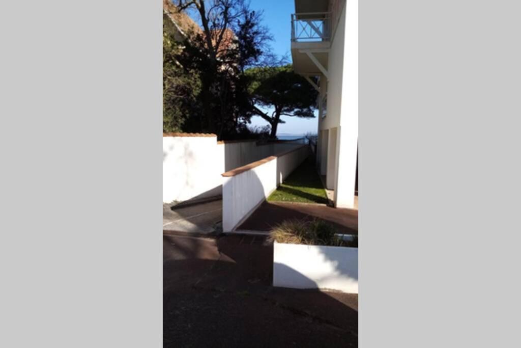 Sur La Pied Dans L Eau Avec Terrasse Jardin Vue Sur Le Bassin Depuis La Terrasse , Parking Apartment *