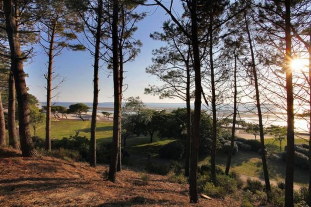 Apartment Sur La Pied Dans L Eau Avec Terrasse Jardin Vue Sur Le Bassin Depuis La Terrasse , Parking Arcachon