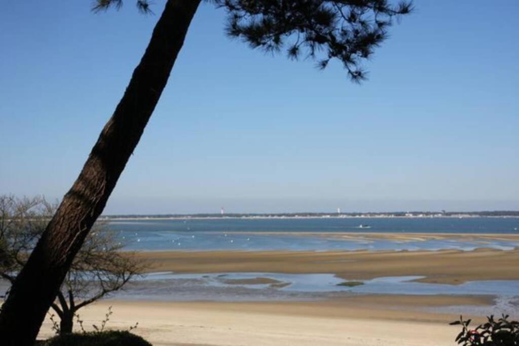 Sur La Pied Dans L Eau Avec Terrasse Jardin Vue Sur Le Bassin Depuis La Terrasse , Parking Apartment *