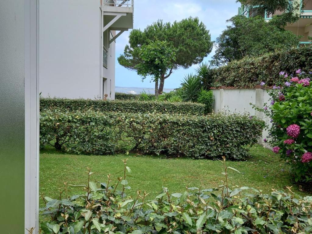 Sur La Pied Dans L Eau Avec Terrasse Jardin Vue Sur Le Bassin Depuis La Terrasse , Parking * Arcachon